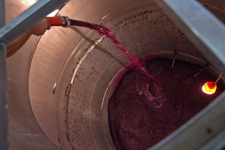 Raudonojo vyno fermentacija