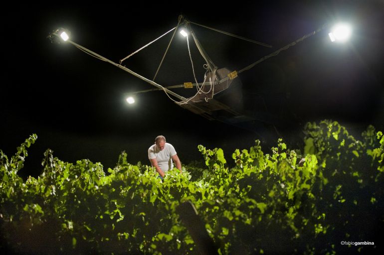 Night Harvest Chardonnay na Sicília em Donnafugata
