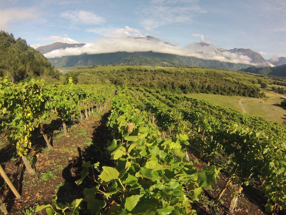 Južno-čilsko-vinske regije