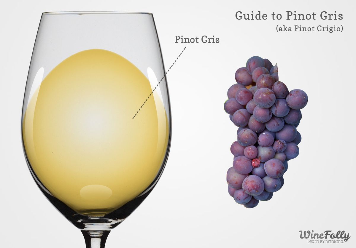 Sprievodca vínom pre Pinot Grigio (aka pinot gris)