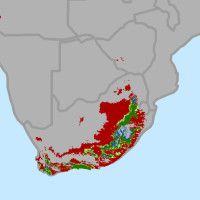 Změna oblastí vhodných pro pěstování vinných hroznů do roku 2050 v Jižní Africe. podle privacy.org