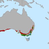 Промяна в областите, подходящи за отглеждане на винено грозде през 2050 г. в Австралия. от conservation.org