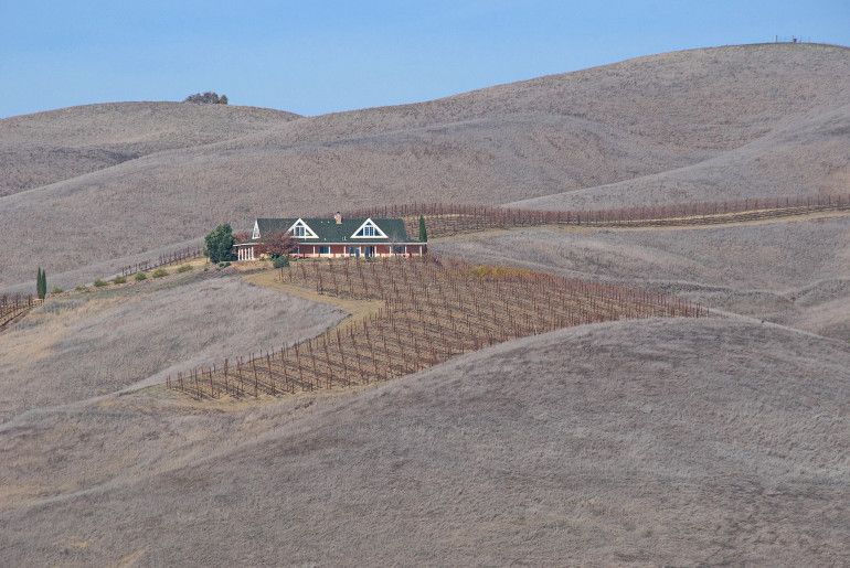 Torka i Kaliforniens vingårdar av John Weiss