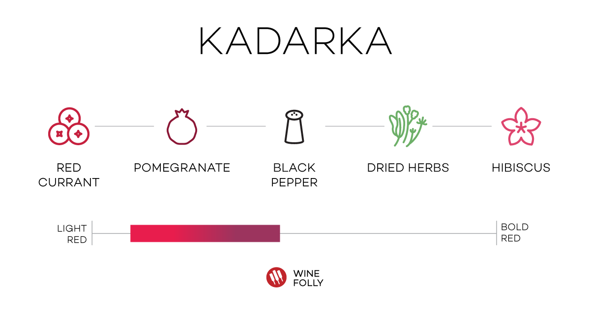Kardarka (dar žinomas kaip Gamza) Degustacijos bulgariškas vynas „Wine Folly“