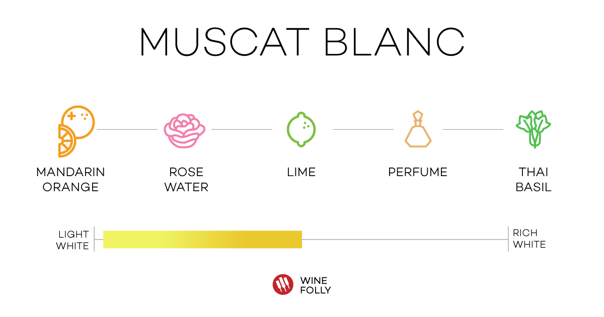 Muscat Blanc aka Tamianka Bulgaria degustacija note winefolly