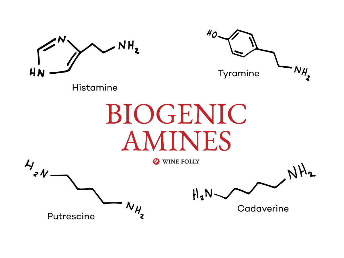 biogeni-amini-kemične spojine-grafični-vinski foliji