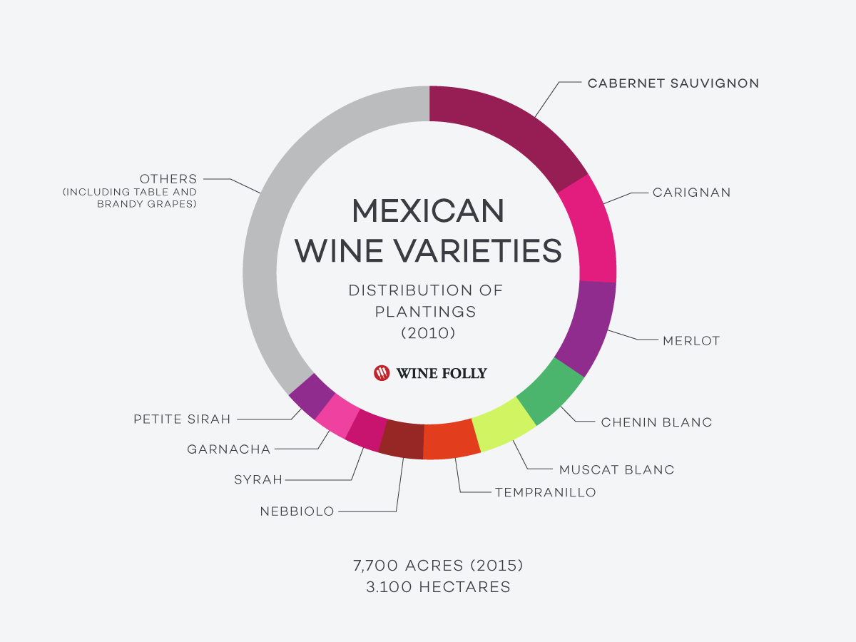 Vyno vynuogių statistika Meksikos vynas pagal Wine Folly