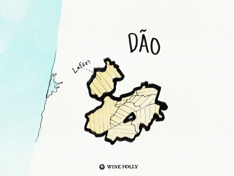 Portugalija-iliustracijos-dao-vyno regionas