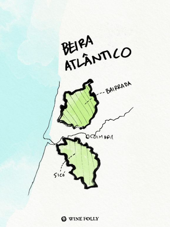 Portugalija-iliustracijos-bairrada-vyno regionas