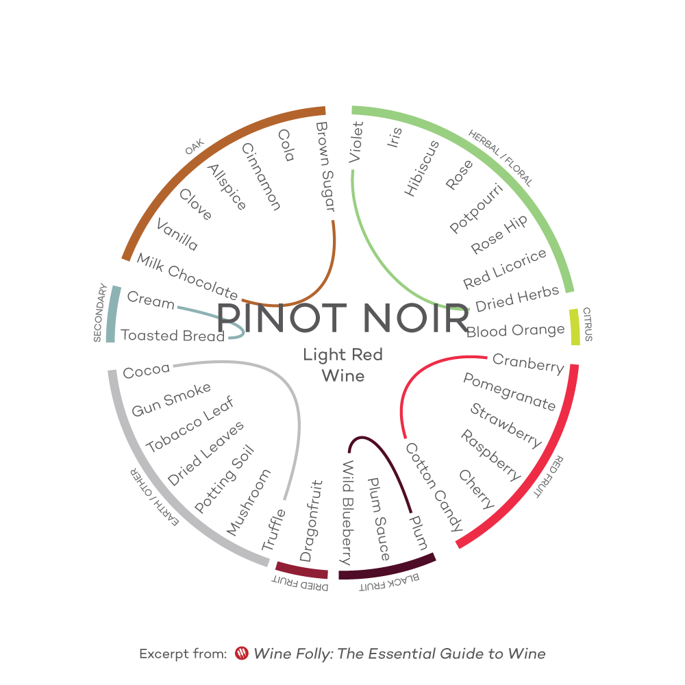 Skonio profilis-Pinot-Noir-Vynas-Folly