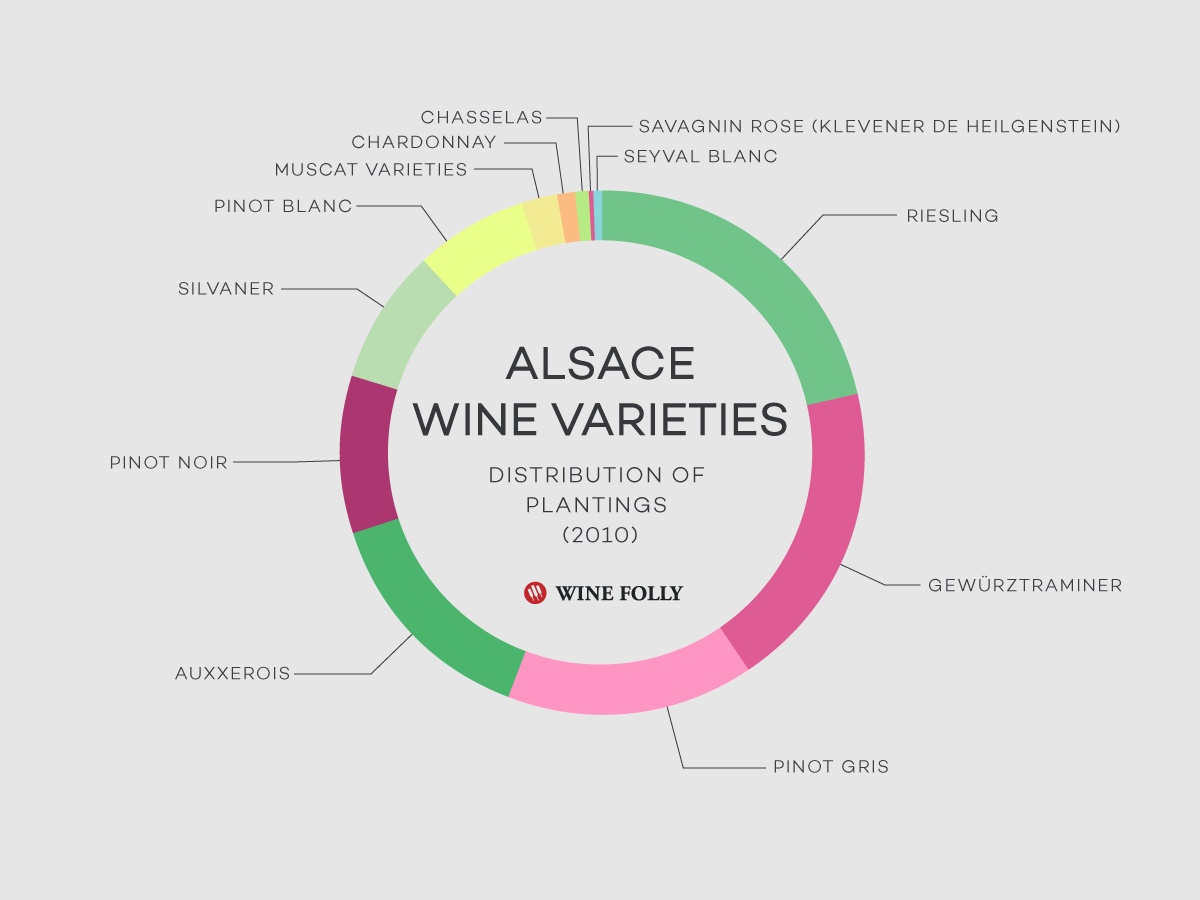 Вино-грожђе-површине-дистрибуција-Алзас