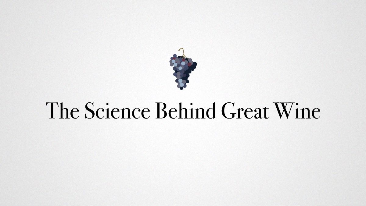 La science derrière le grand vin