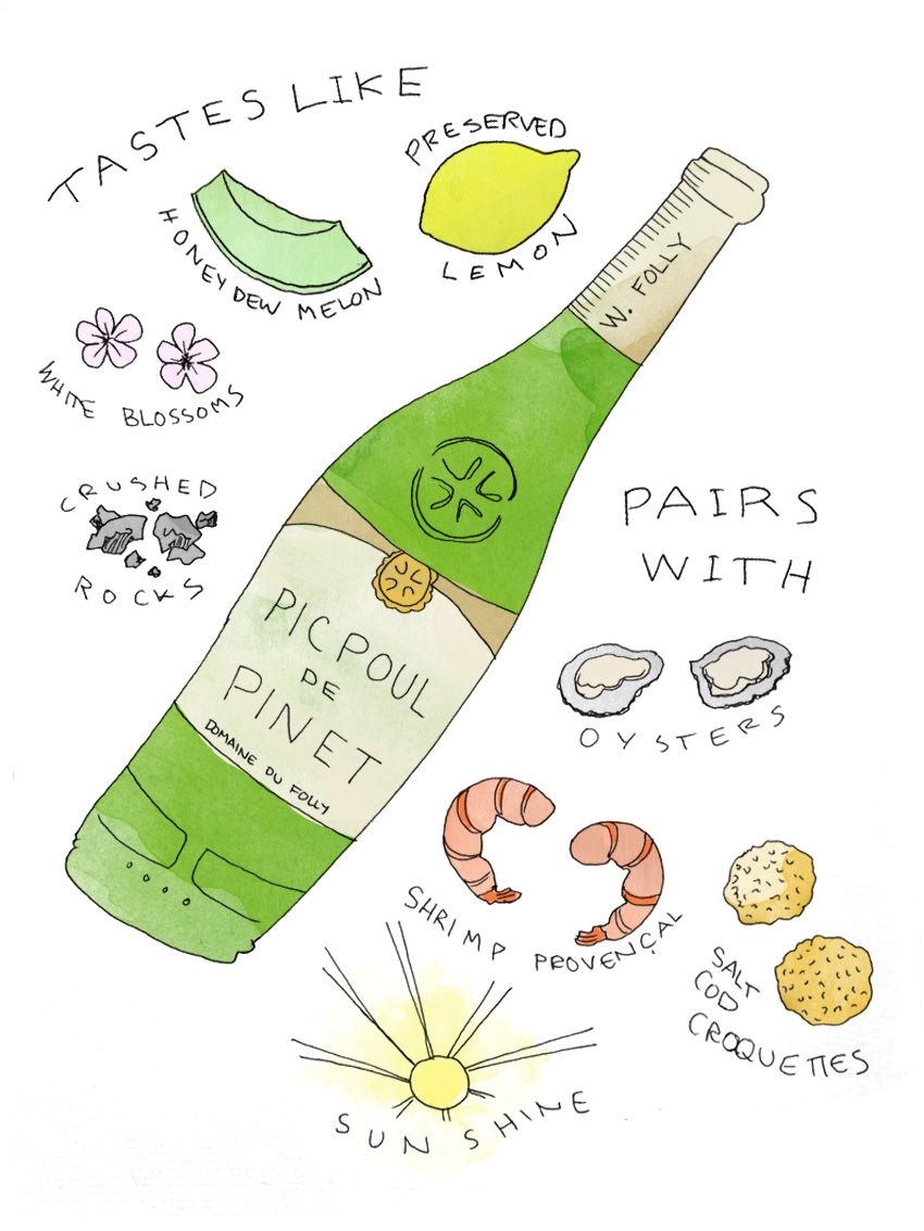 איור של יין פיקפול דה פינט ואיור זיווג אוכל מאת Wine Folly