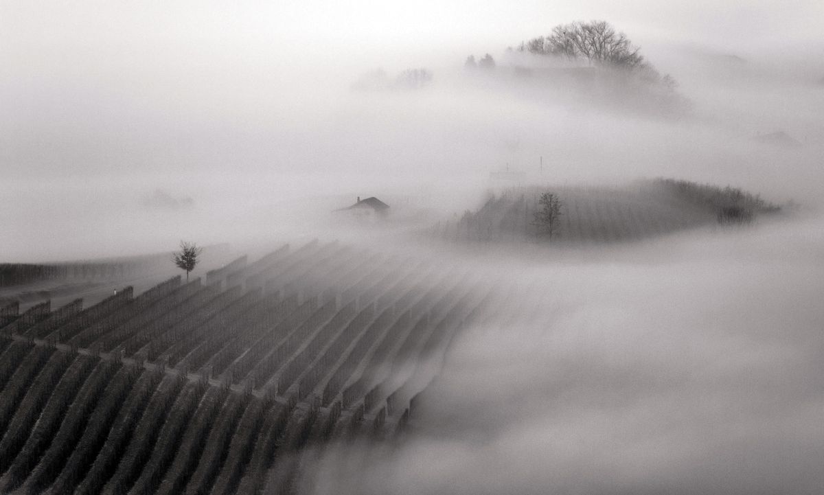 Langhe la morra Piemont mlha mlha