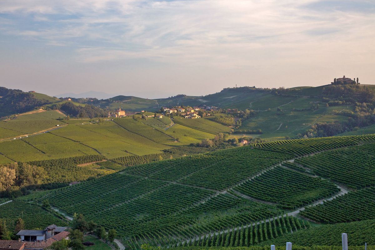Piemontské vinice Barolo