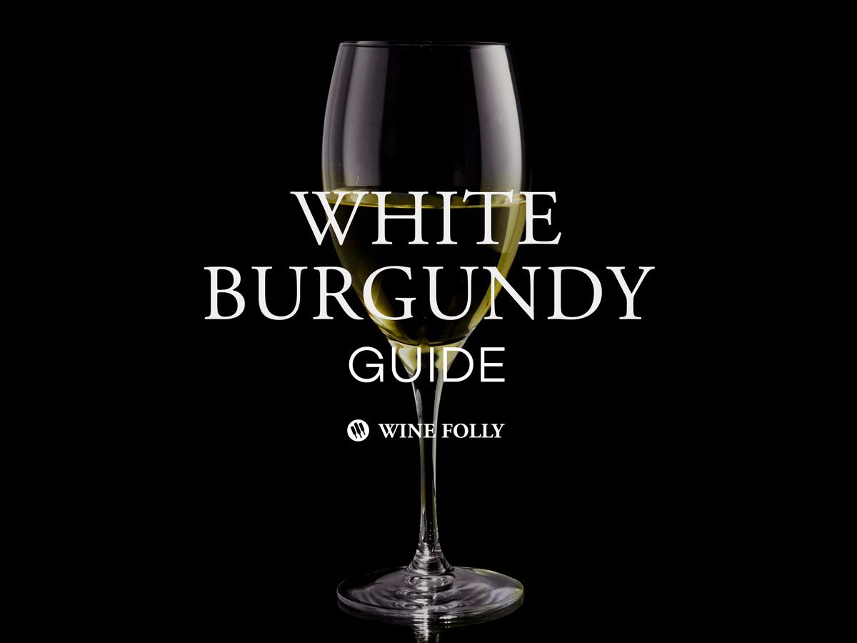 „White Burgundy“ vadovas, „Wine Folly“ prancūziškas „Chardonnay“