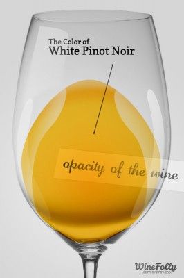 Balta pinot noir spalva stiklinėje, dar vadinama vin gris arba blanc de noir