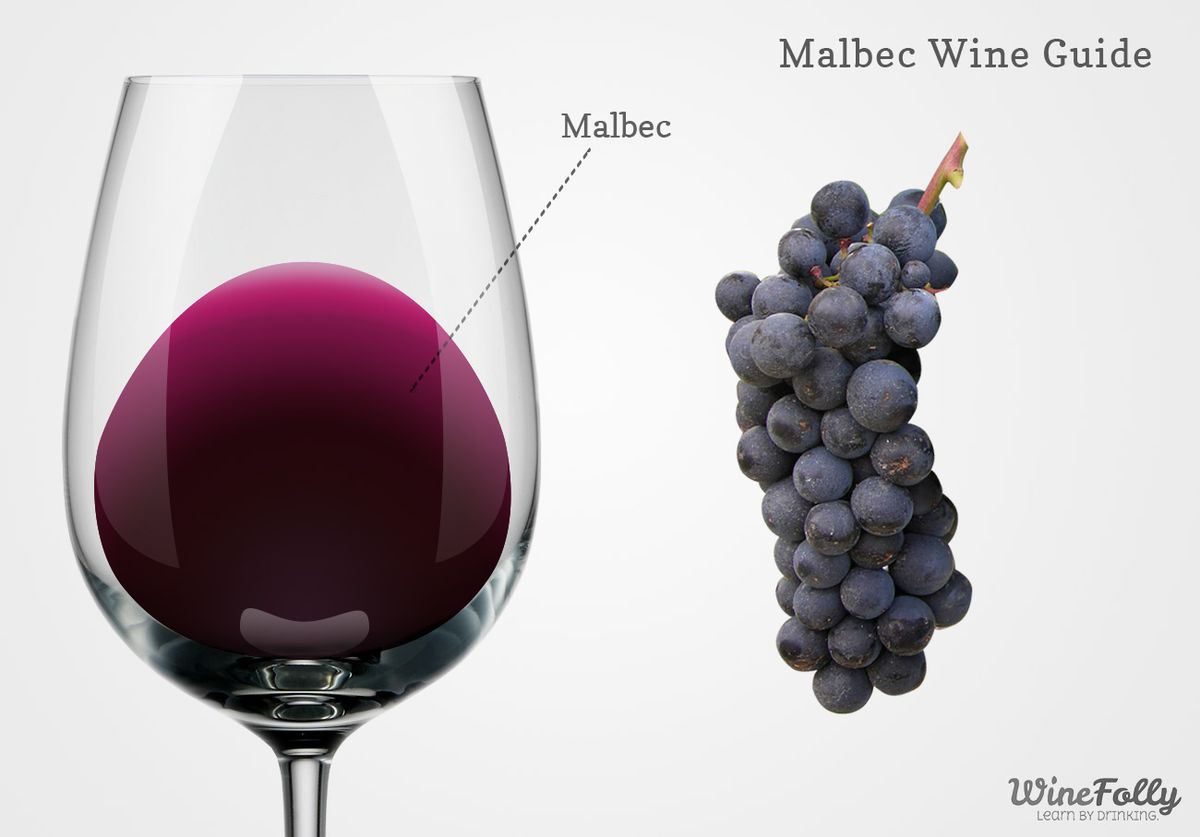 יין מלבק בכוס עם ענבים