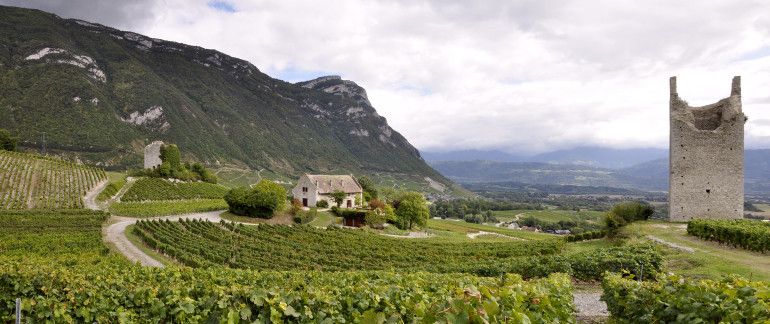 Flou-Net-Chignin-Savoie-Vi​​neyards-Chambery1
