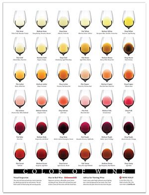 цвят на виното (малко) Wine Folly