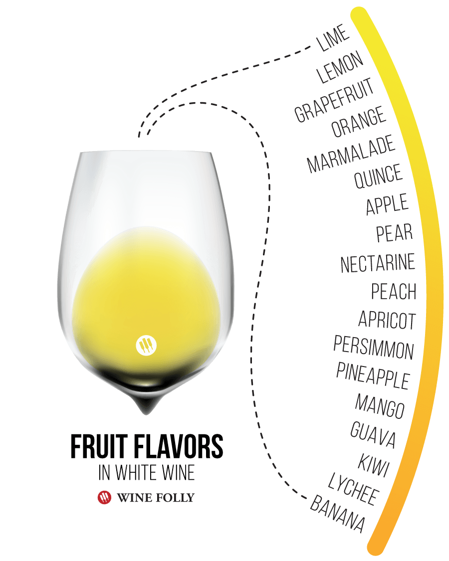 Baltame vyne rasti bendri vaisių skoniai - „Wine Folly“ infografika