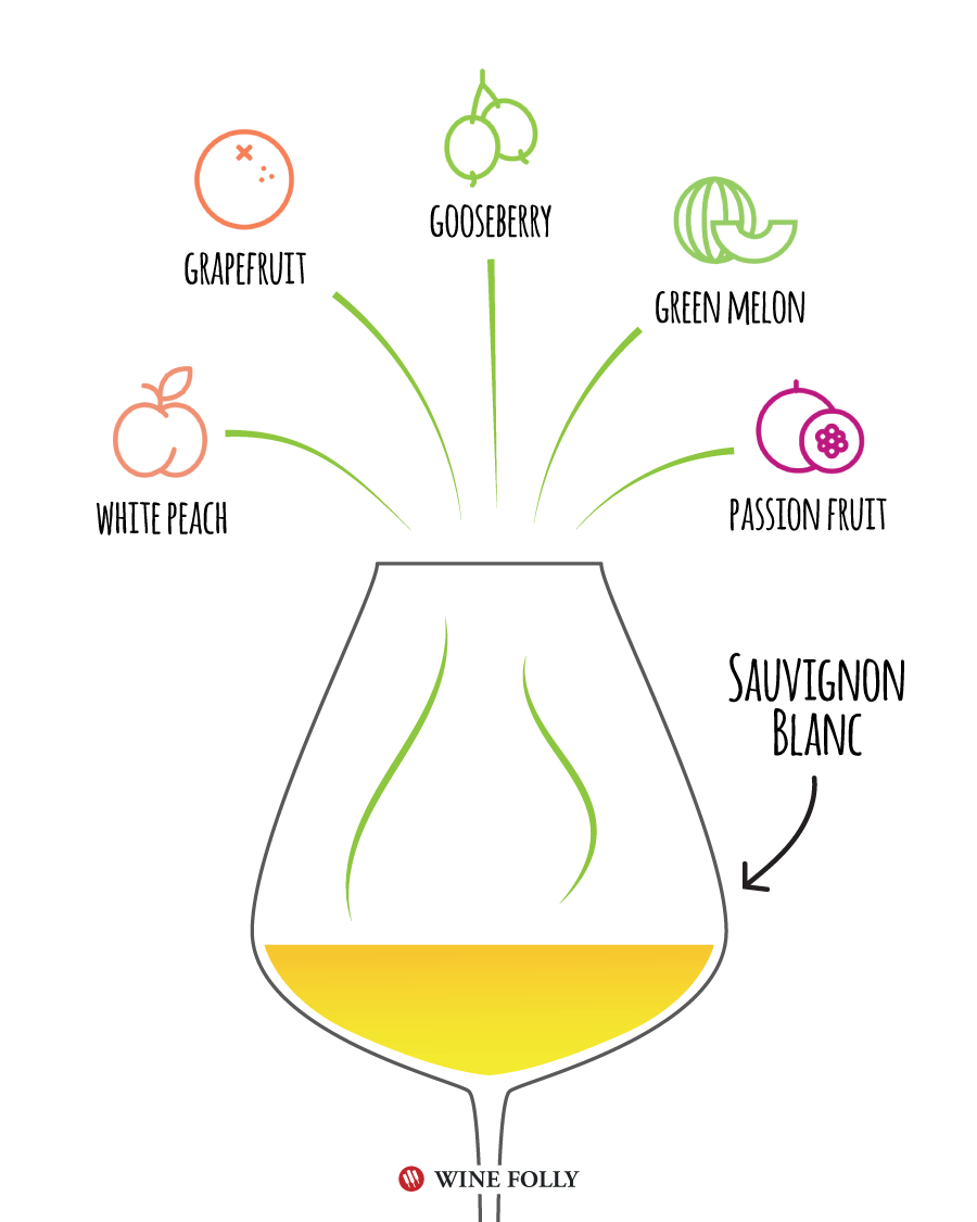 „Sauvignon Blanc“ degustacijos užrašai - „Wine Folly“ iliustracija