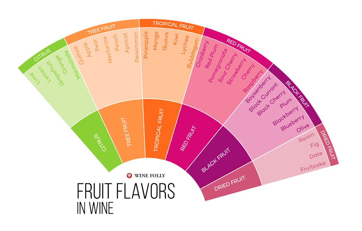 Wine Folly의 Wine Infographic의 과일 풍미.