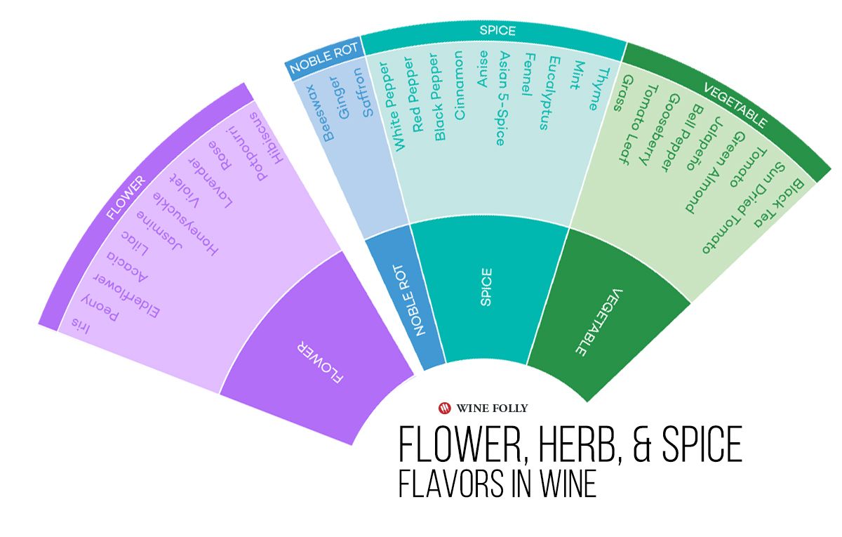 와인의 꽃 허브와 향신료 맛-인포 그래픽 by Wine Folly