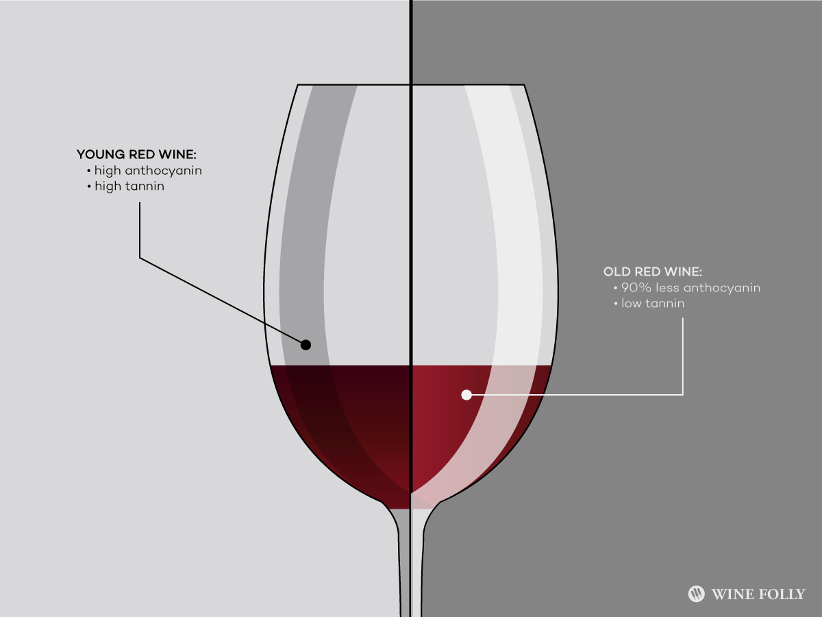 mladé víno-vs-staré víno