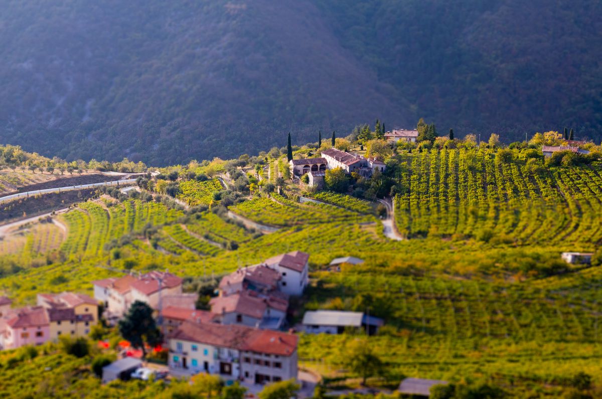 „Amarone“ vyno regionas, Ryan Opaz iš „Catavino.net“