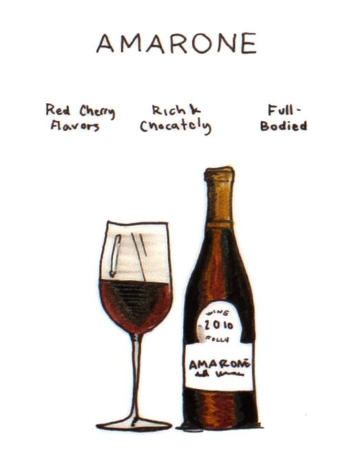 amarone-vyno iliustracija