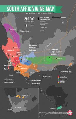 Карта вин Южной Африки от Wine Folly