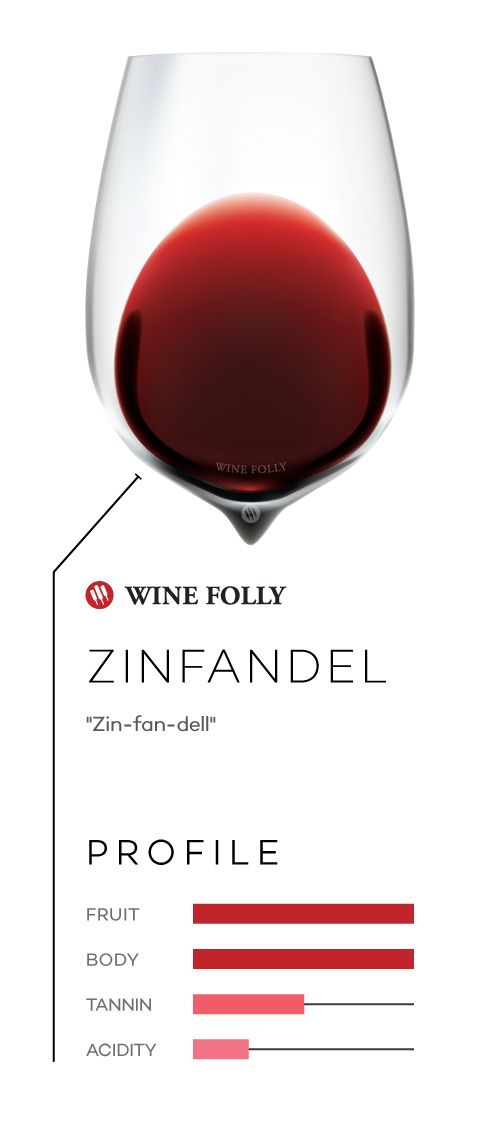 Вино Зинфандель в бокале с профилем вкуса и произношением