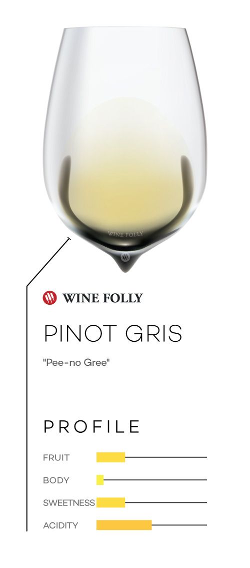 Вино Пино Гри в бокале с профилем вкуса и произношением