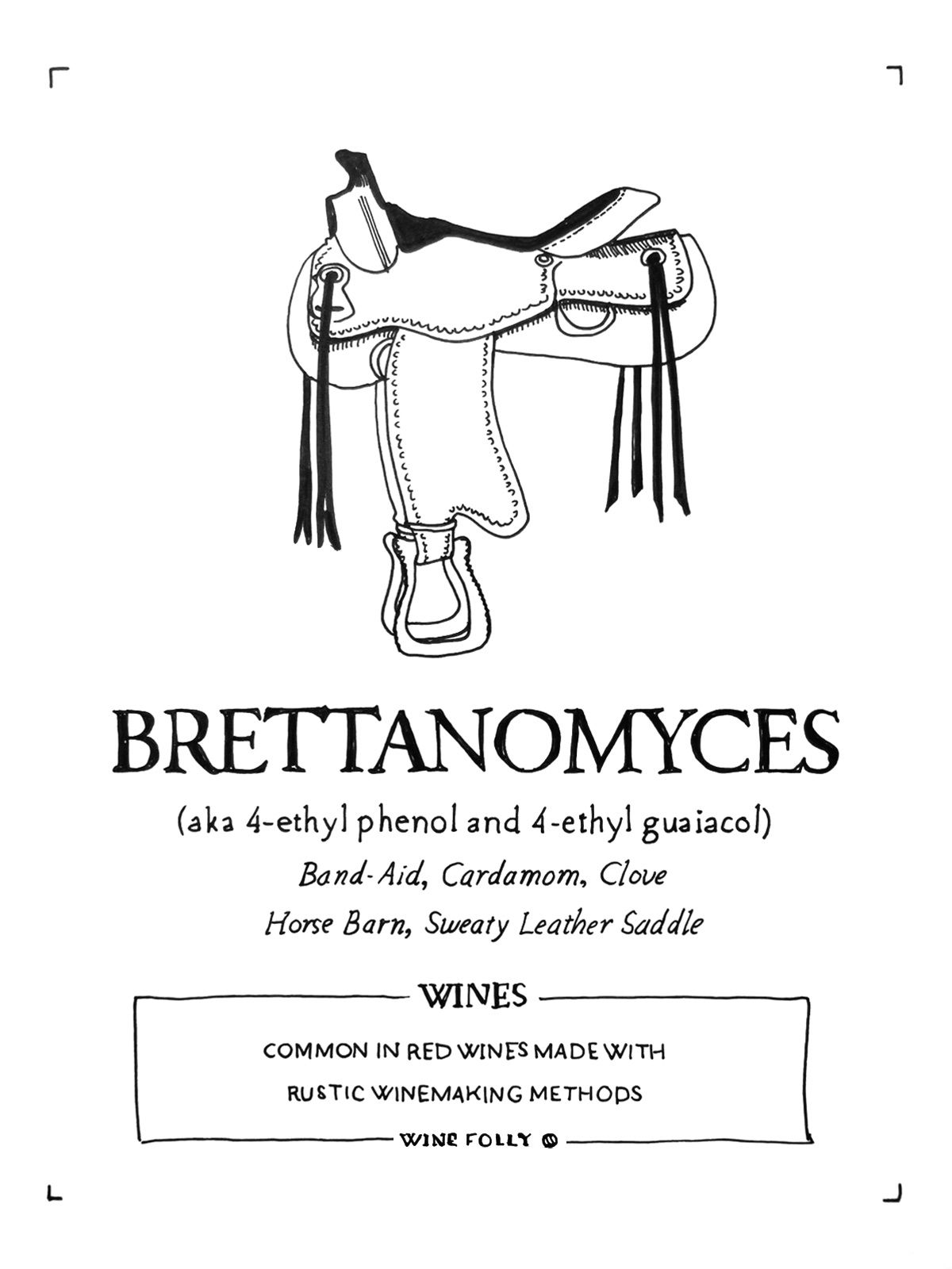 brettanomyces-יין-איוולת-איור