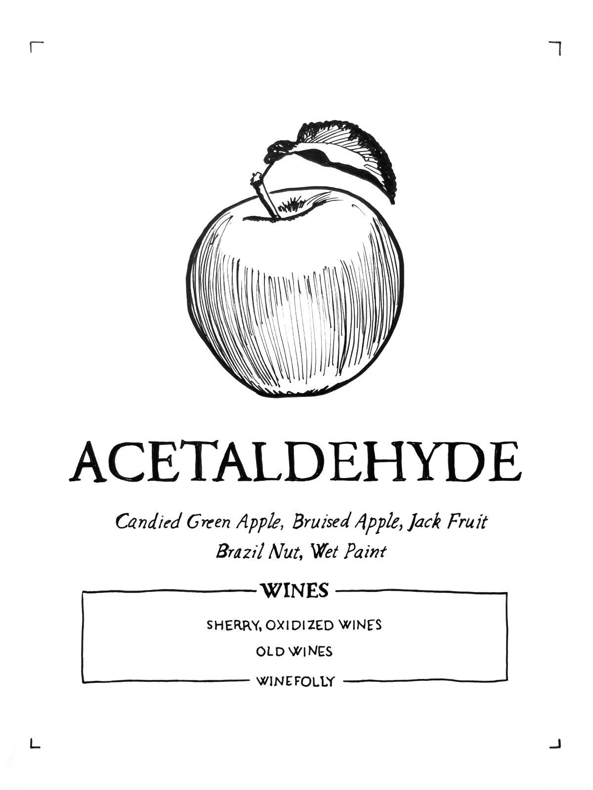 acétaldéhyde-dans-wine-folly-illustration