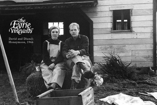 Pirmasis „Oregon Pinot“: Davidas ir Diana Lettas „Pinot Noir“ pasodino Dundee Hills 1965 m