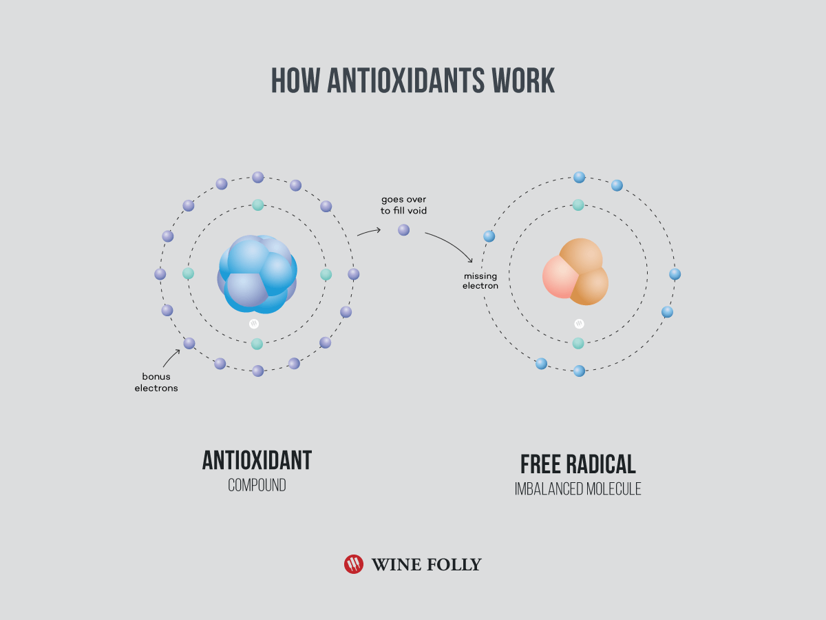 com-vi-antioxidants-treball-infografia