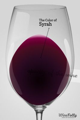 „Syrah“ spalva vyno taurėje