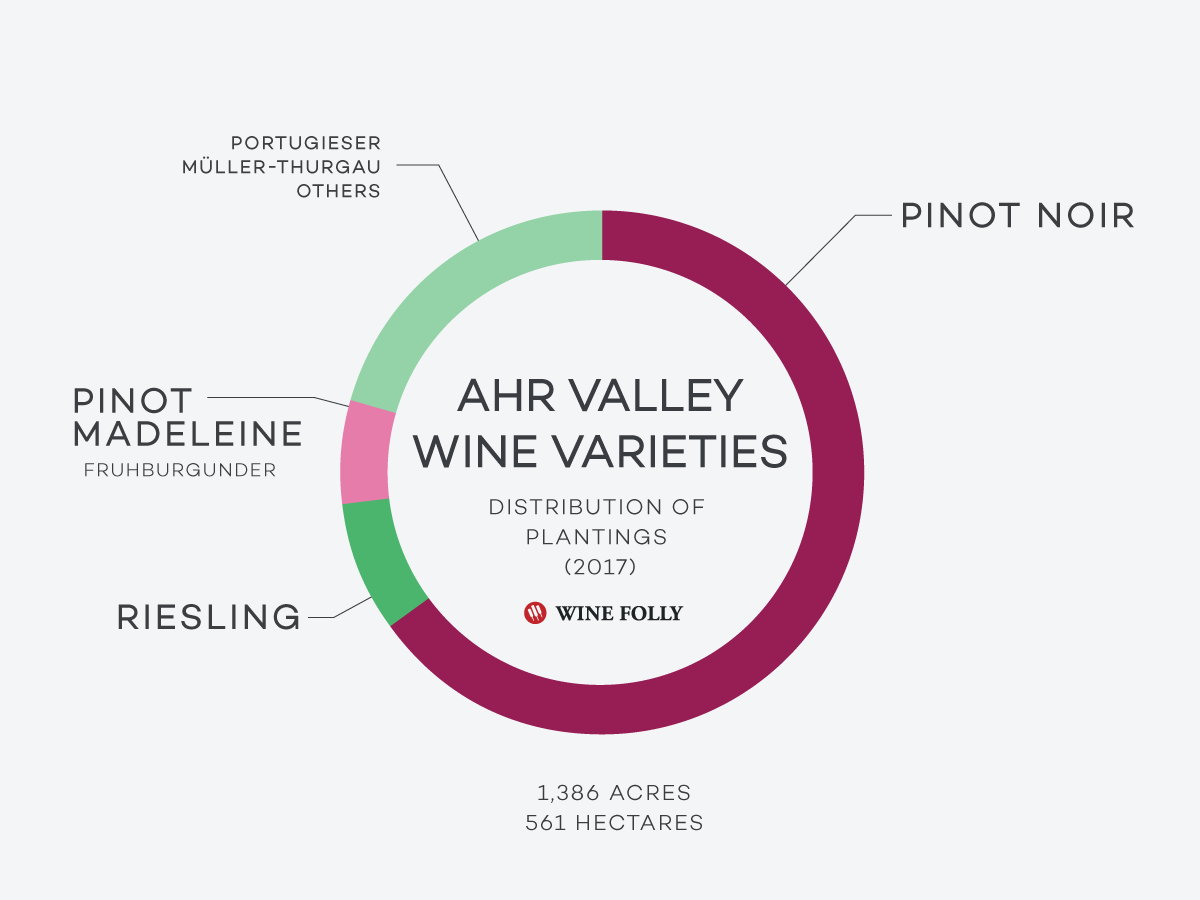 „Ahr Valley“ vynuogynas-vynuogės-paskirstymas-vynas