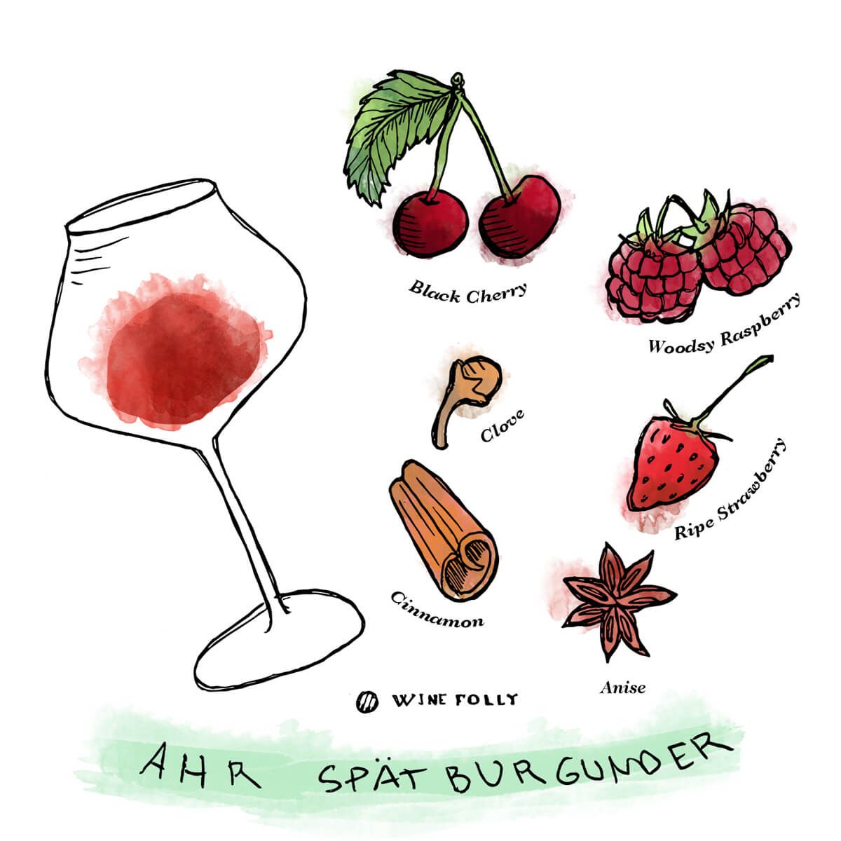 Ahr-Pinot-Noir-Spatburgunder-Degustācija-Piezīmes-WineFolly-Illustration