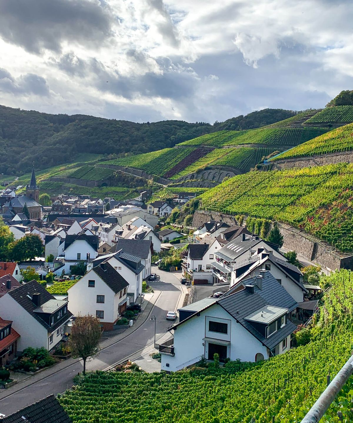 Dernau-Ahr-Valley-VIneyards-Germany-Wine-Folly