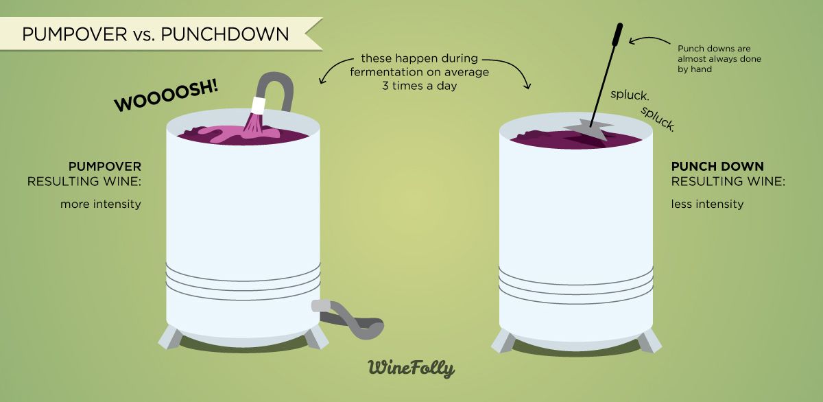 punchdown-vs-pumpover-with-wine
