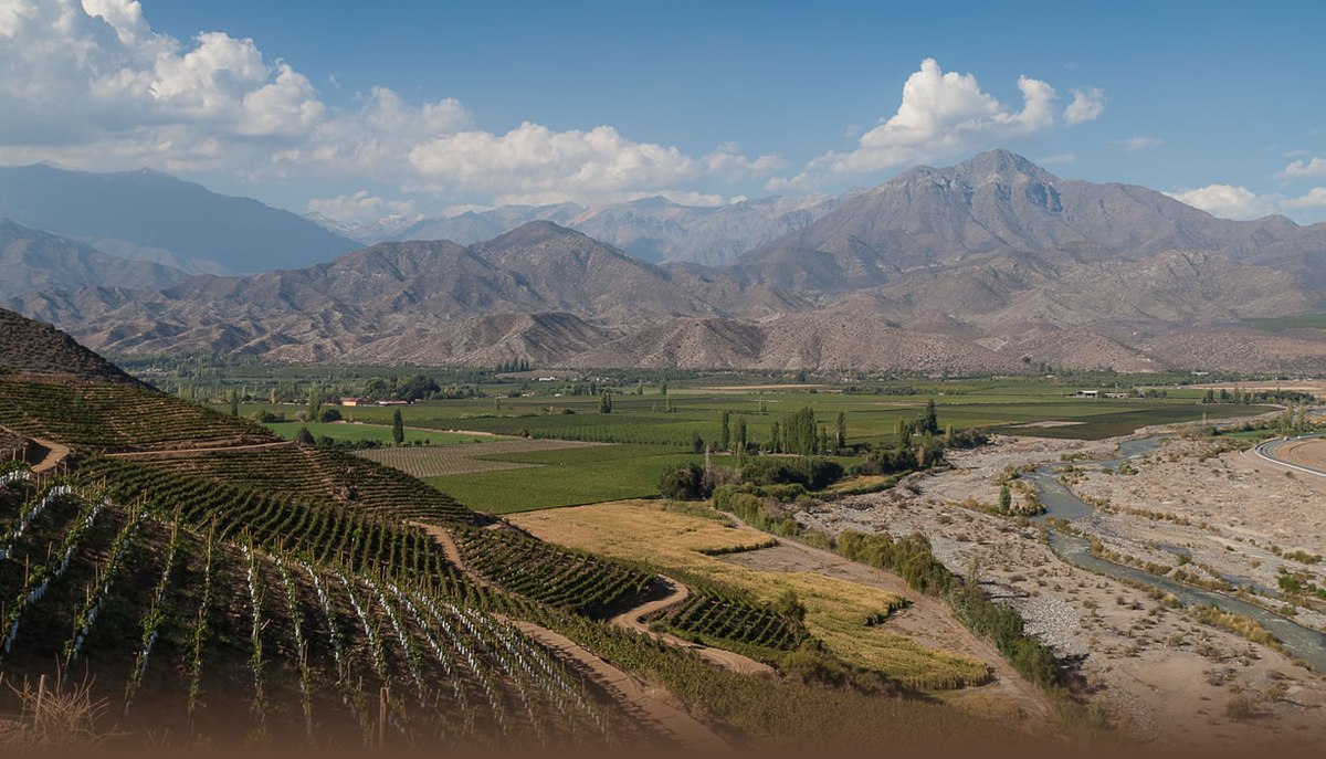Vina San Esteban in Aconcagua region of Chile