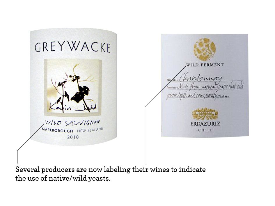 Wild Yeast Label Wines