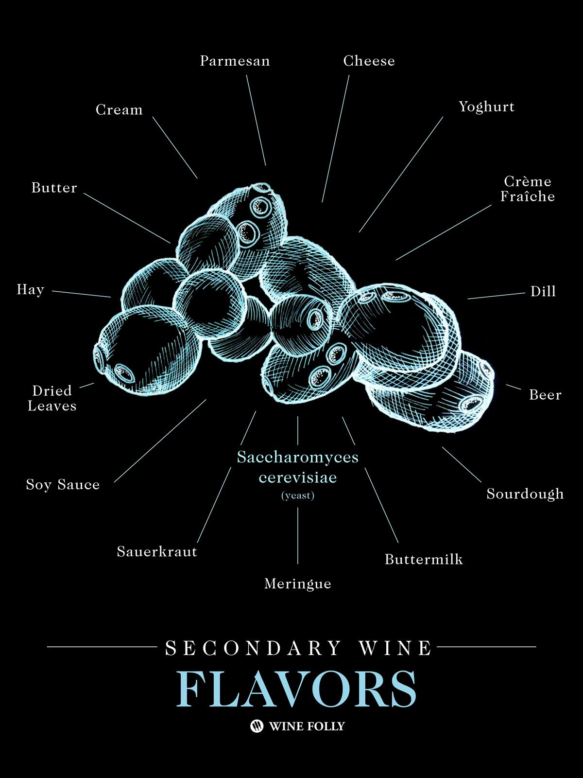 mielių skoniai-vynuose-vynuogėse