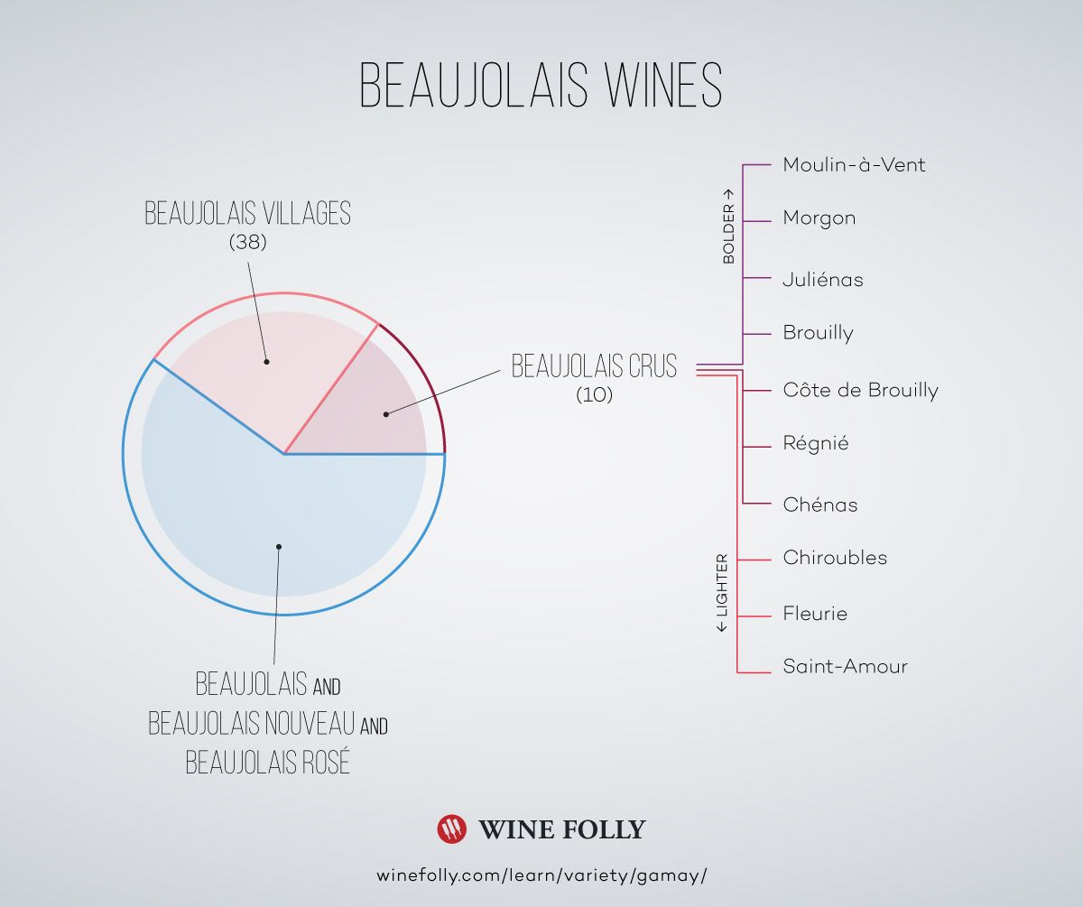 „Beaujolais“ vyno infografija pagal „Wine Folly“
