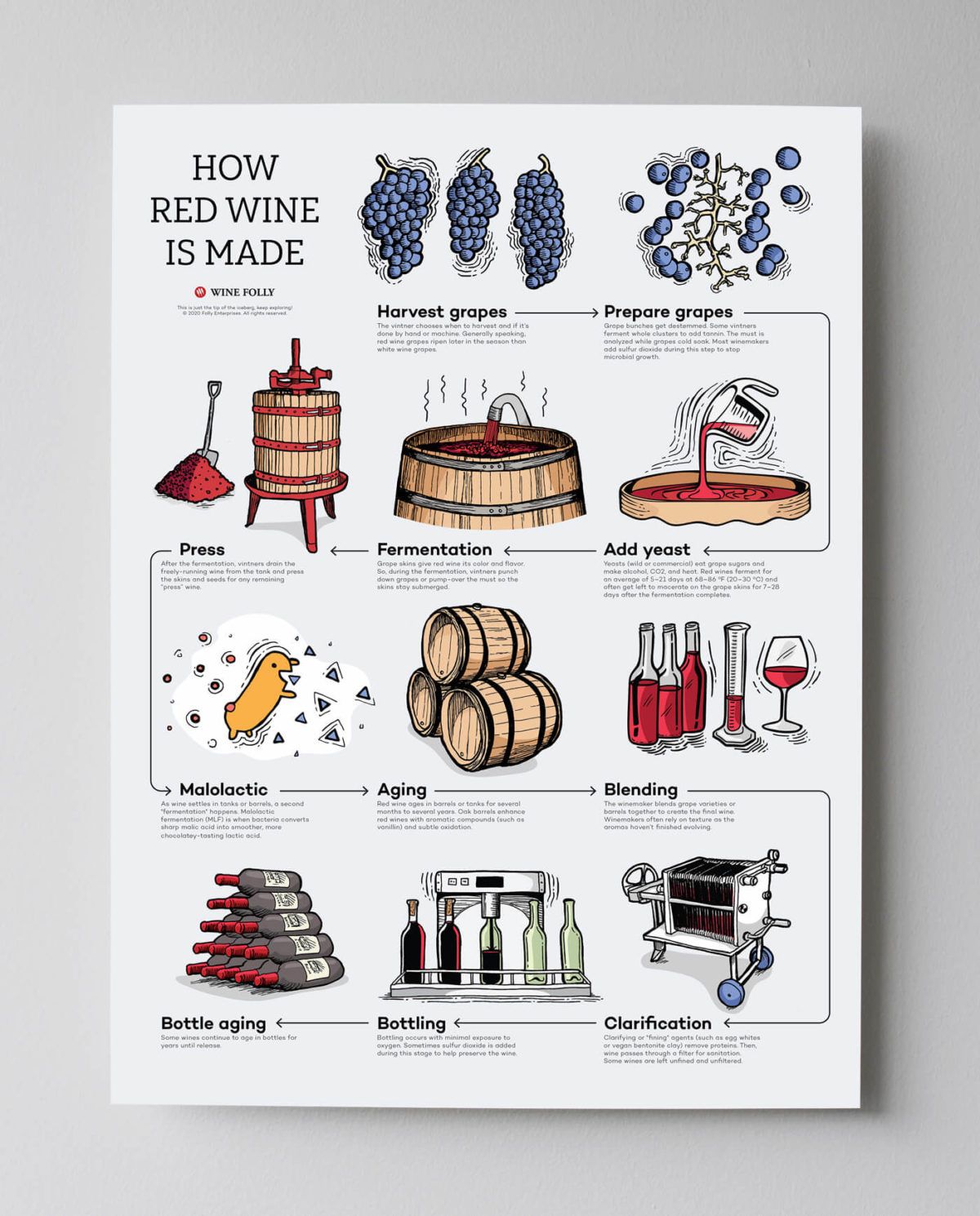 how-red-wine-is-made-poster-grey-bg