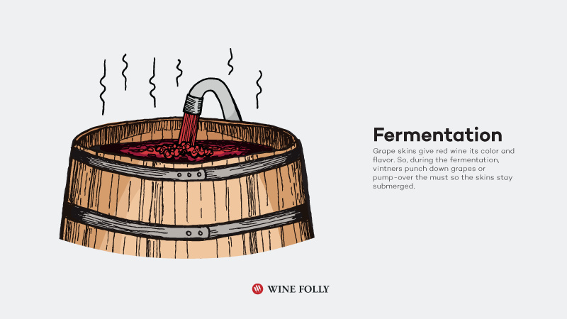 איך-תוצרת יין אדום תסיסה