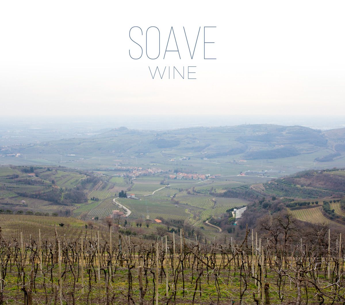 Soave-Wine-Region-1